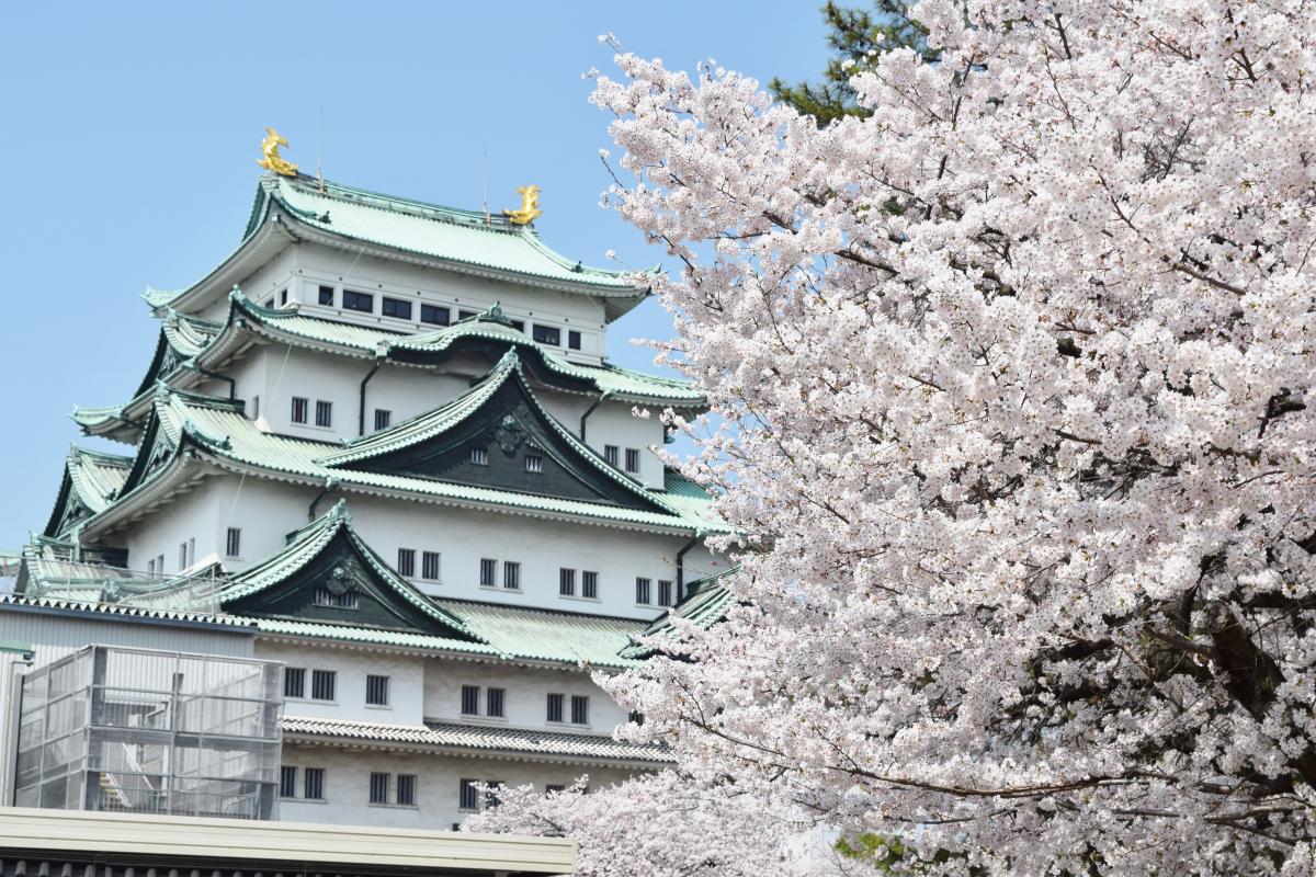 名古屋城　春季阵