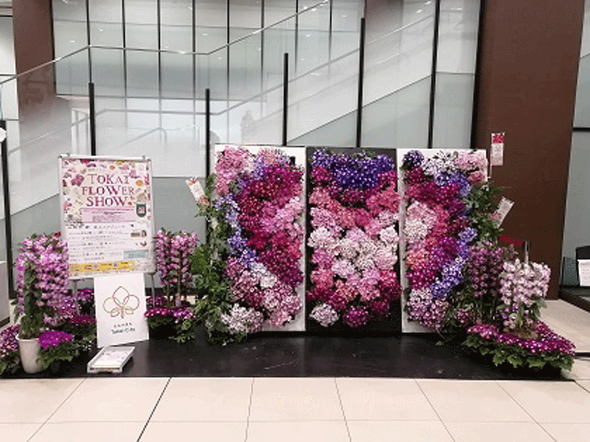 Tokai Flower Show