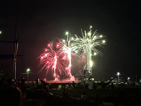 第31届 丰浜焰火大会