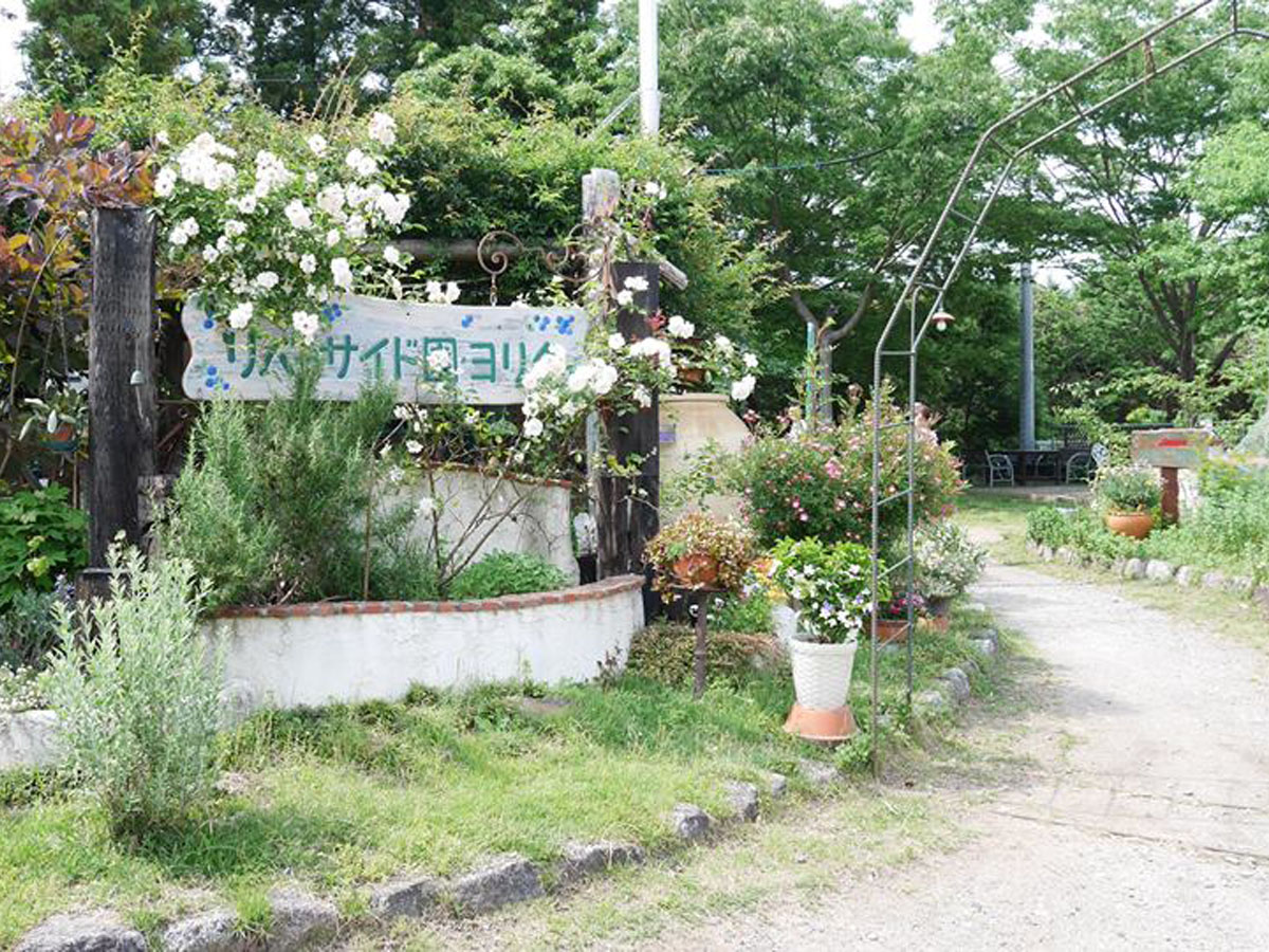 河畔园依田 摘蓝莓