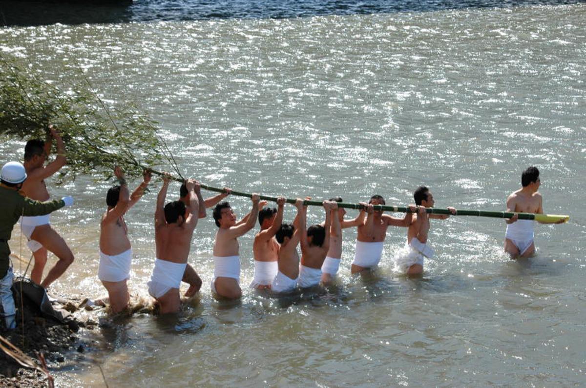 Kinekosa Festival