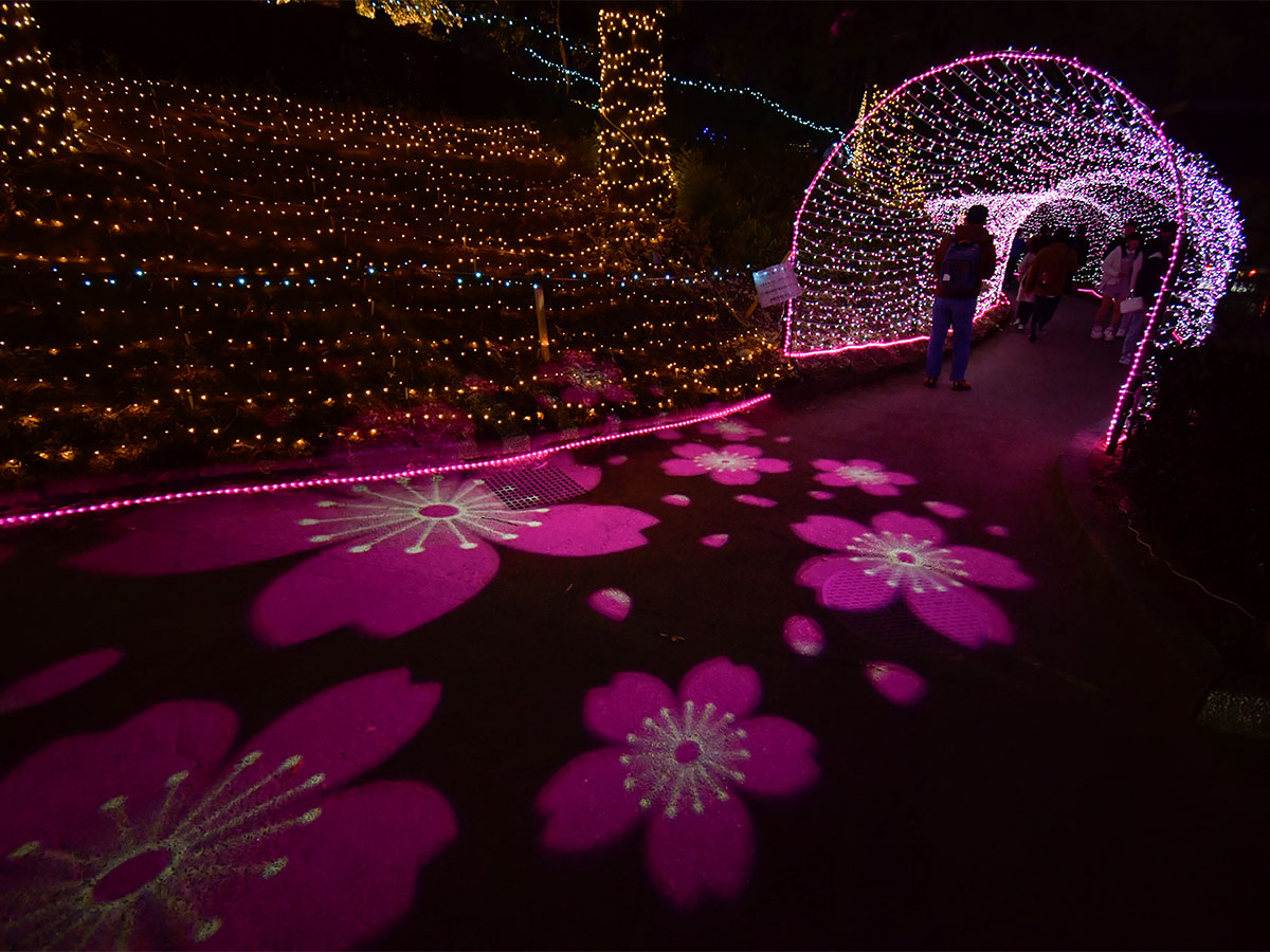 Chiryu Dream Light Display