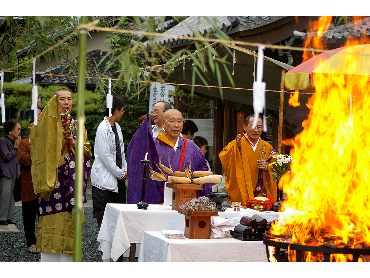 大智院 めがね弘法大祭(めがね供養)_1