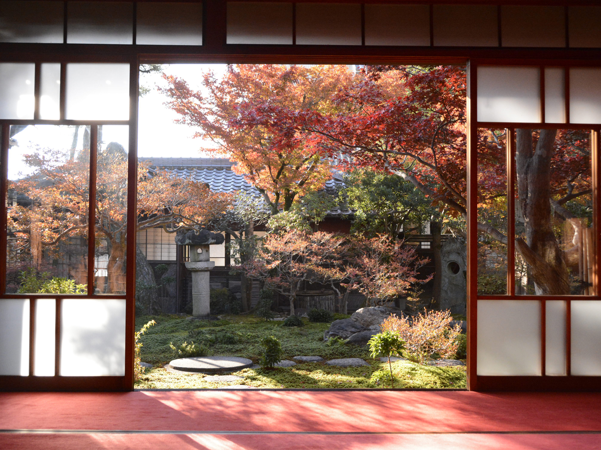 紅葉のおもてなし もみじまつり