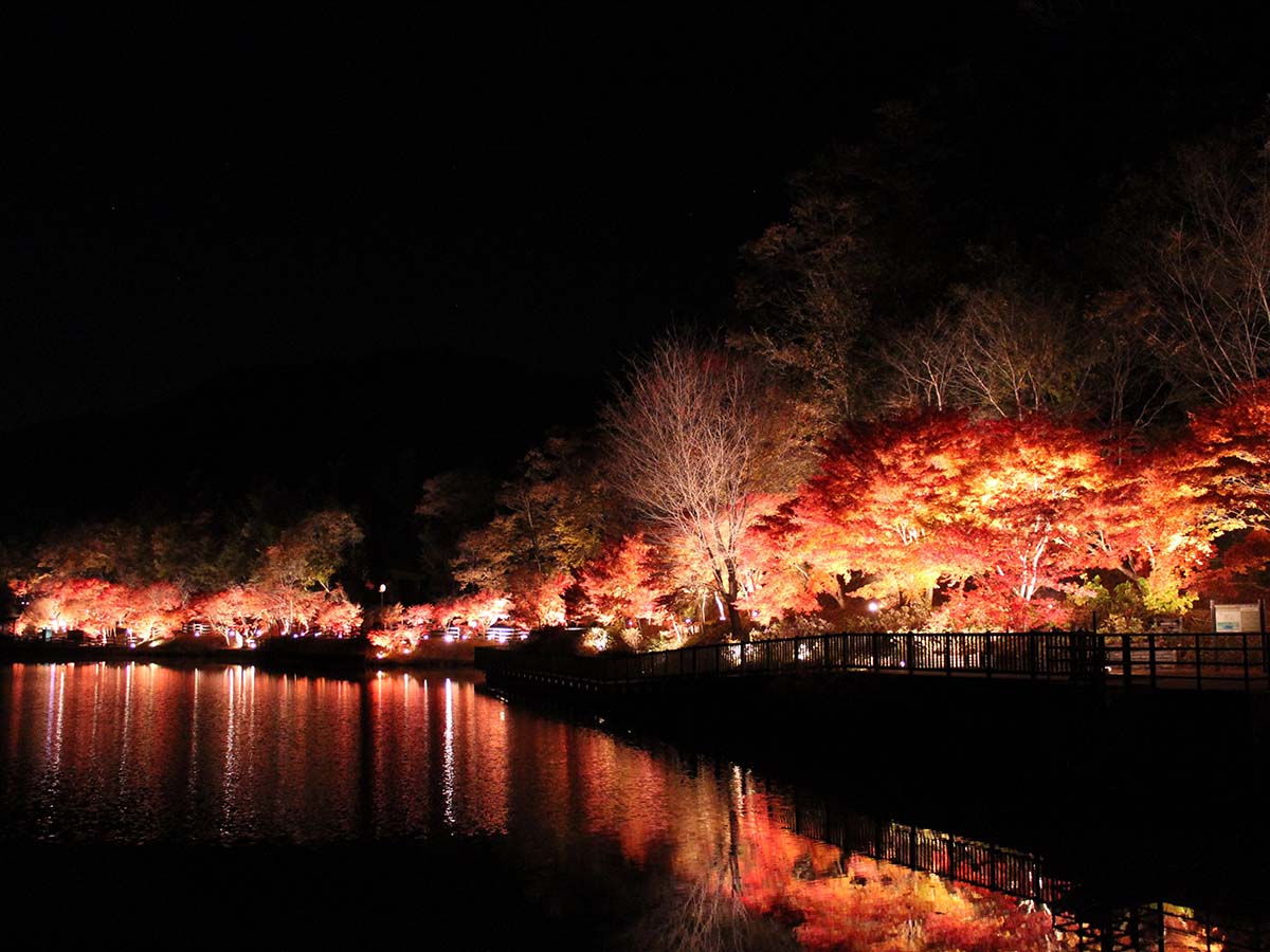 夢・彩・発見ふじおか紅葉まつり