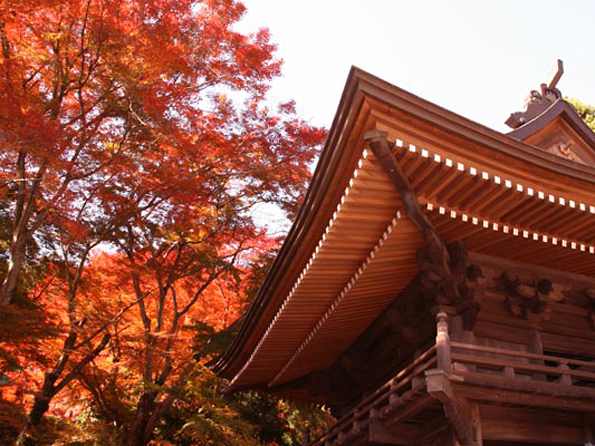 普門寺もみじ祭り