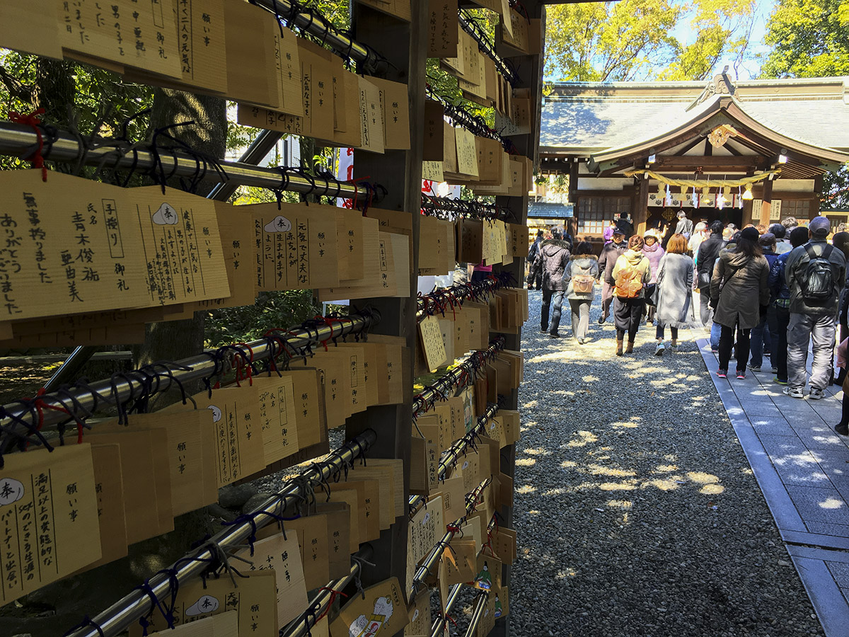 豊年祭(田縣神社)