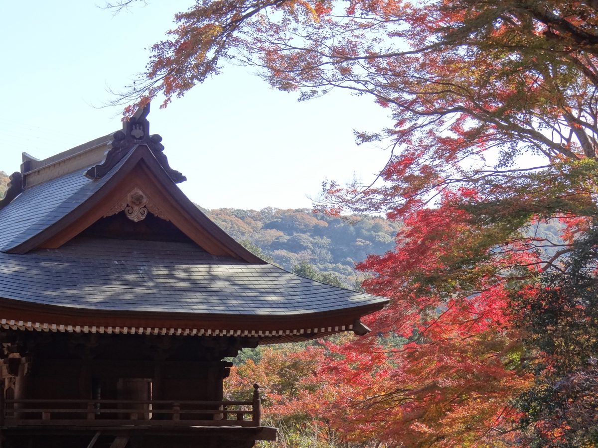 普門寺もみじ祭り