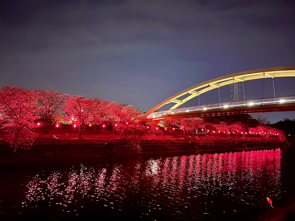 荒子川公園 さくらまつり