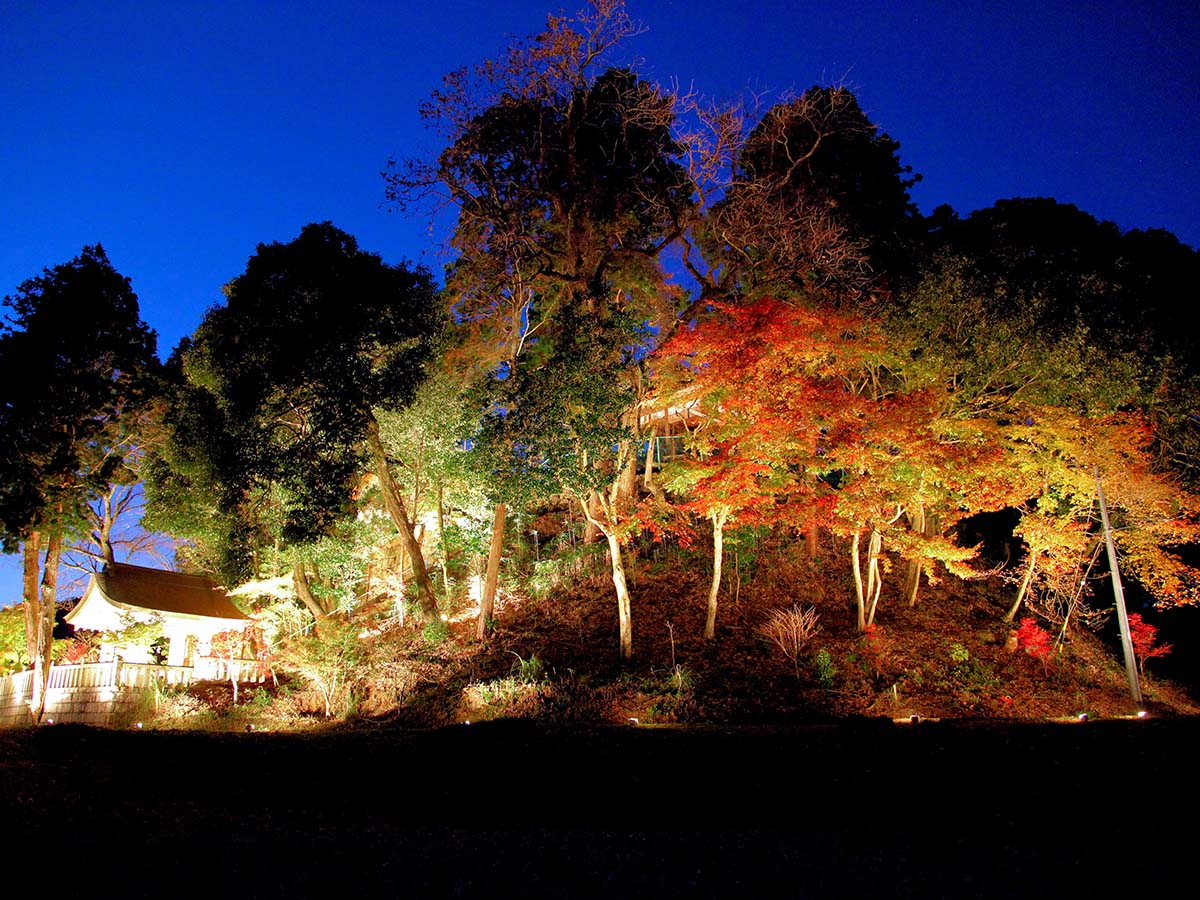 夢・彩・発見ふじおか紅葉まつり