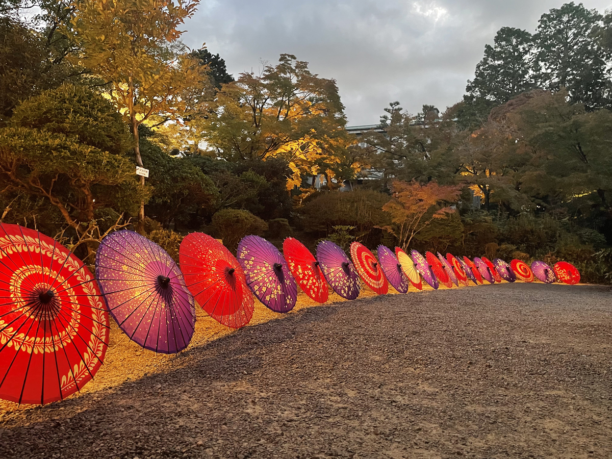 博物館明治村　紅葉ライトアップ