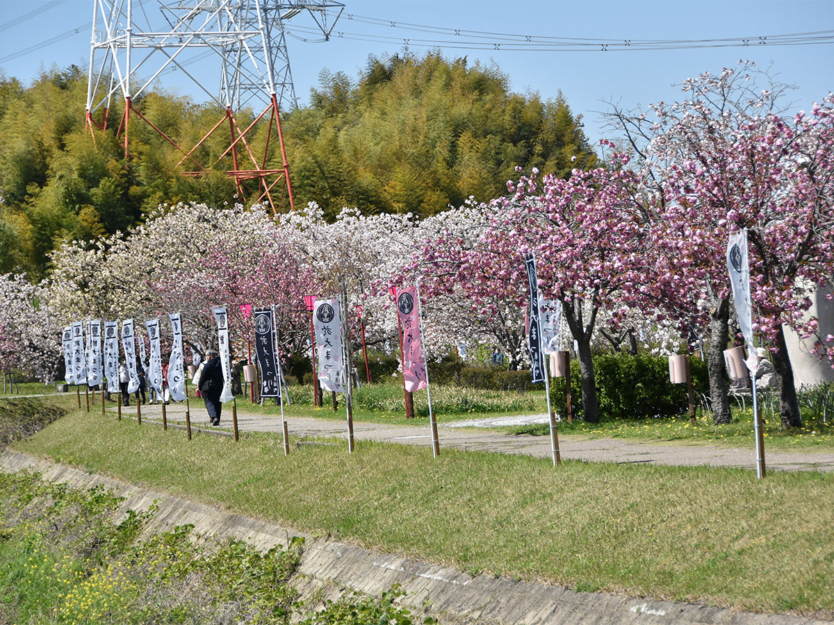東浦町於大まつり