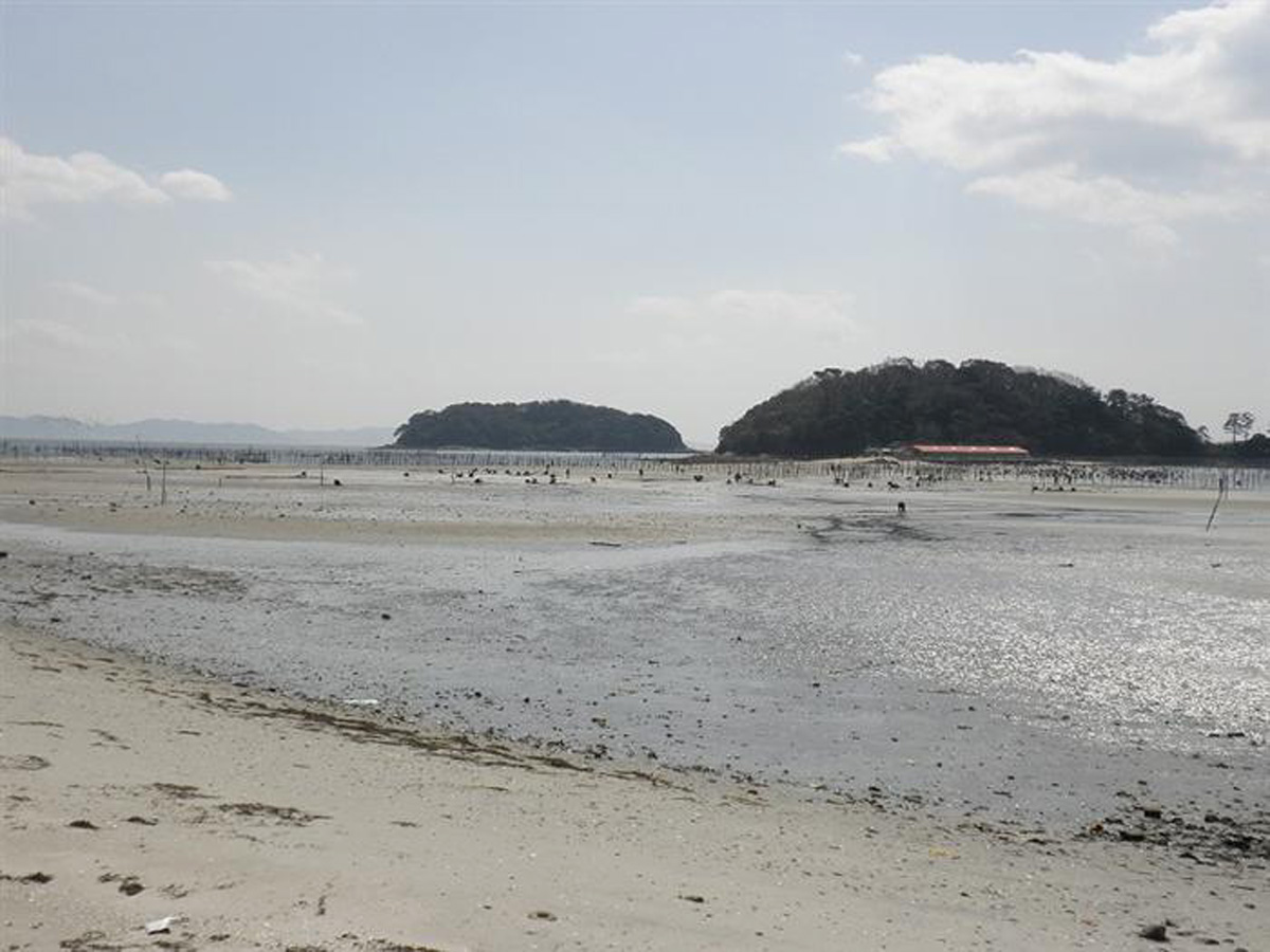 東はず海岸・前島 潮干狩り