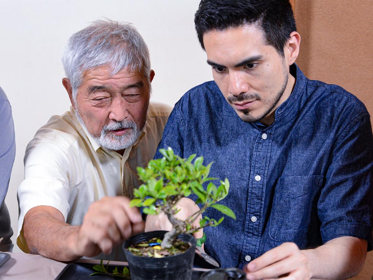 Bonsai &amp; Sencha Tea Experience