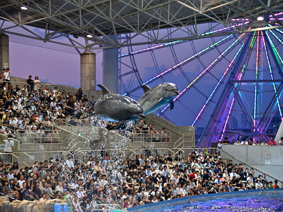 名古屋港水族館 GWナイトアクアリウム