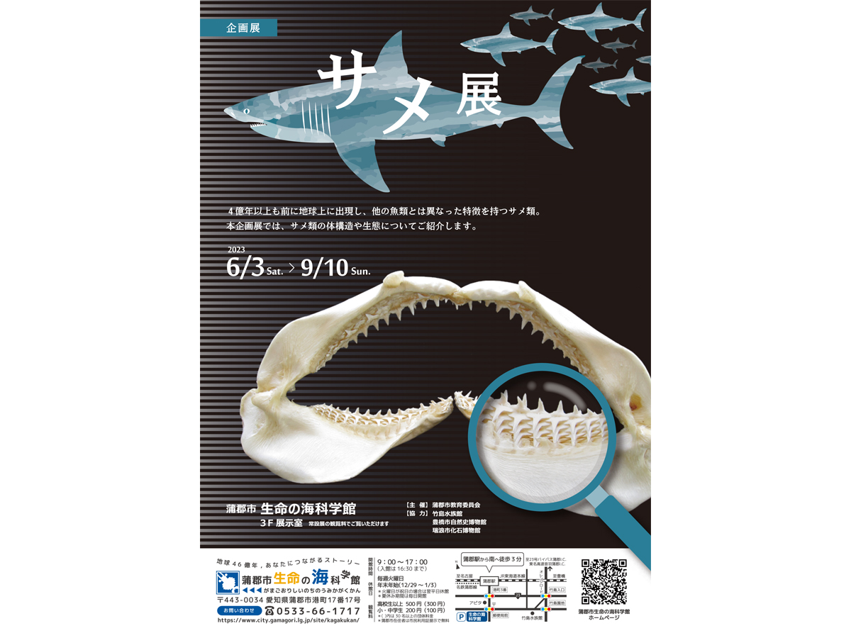 蒲郡市生命の海科学館 企画展「サメ展」