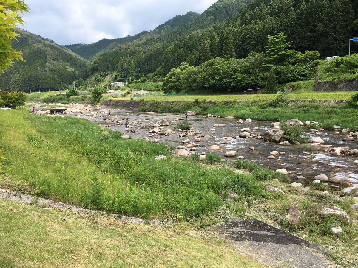 名倉川・段戸川 鮎漁解禁