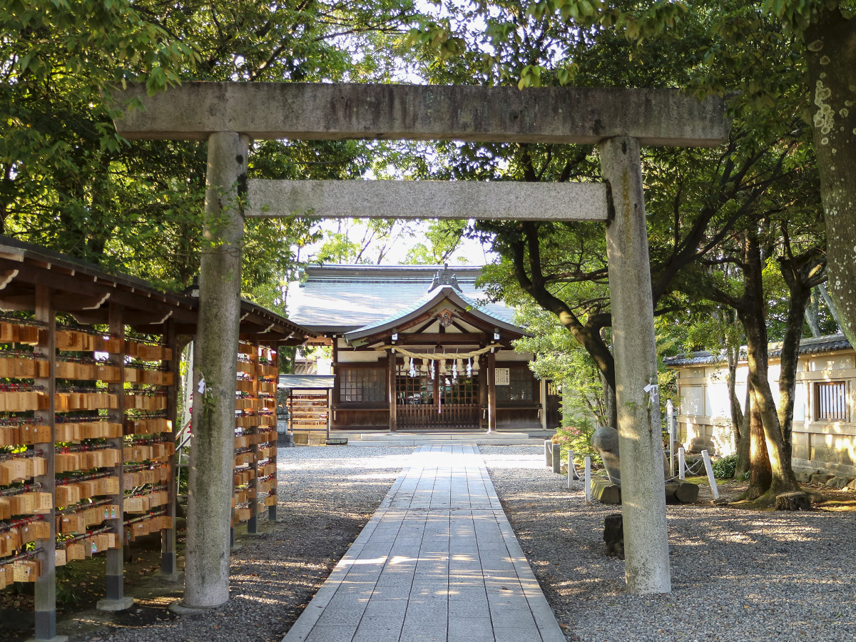 豊年祭(田縣神社)