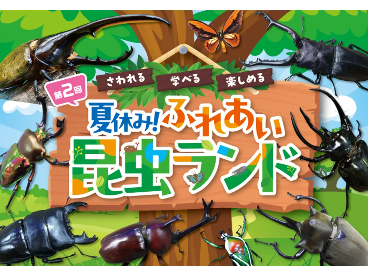 夏休み!ふれあい昆虫ランド