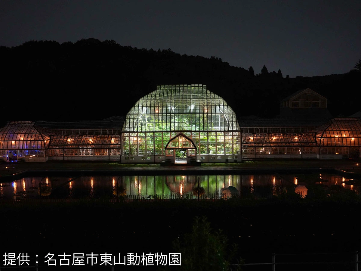 東山動植物園 ナイトZOO