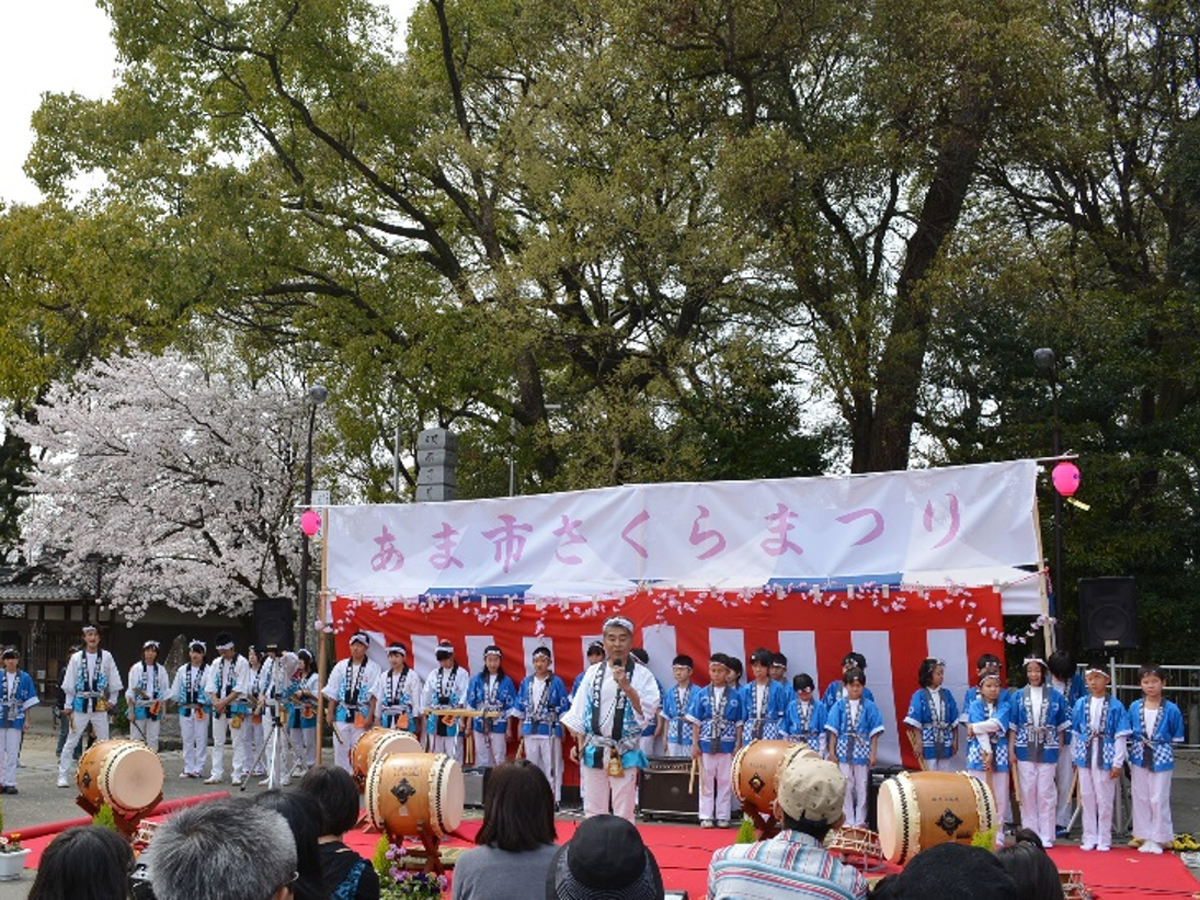 Ama市櫻花節