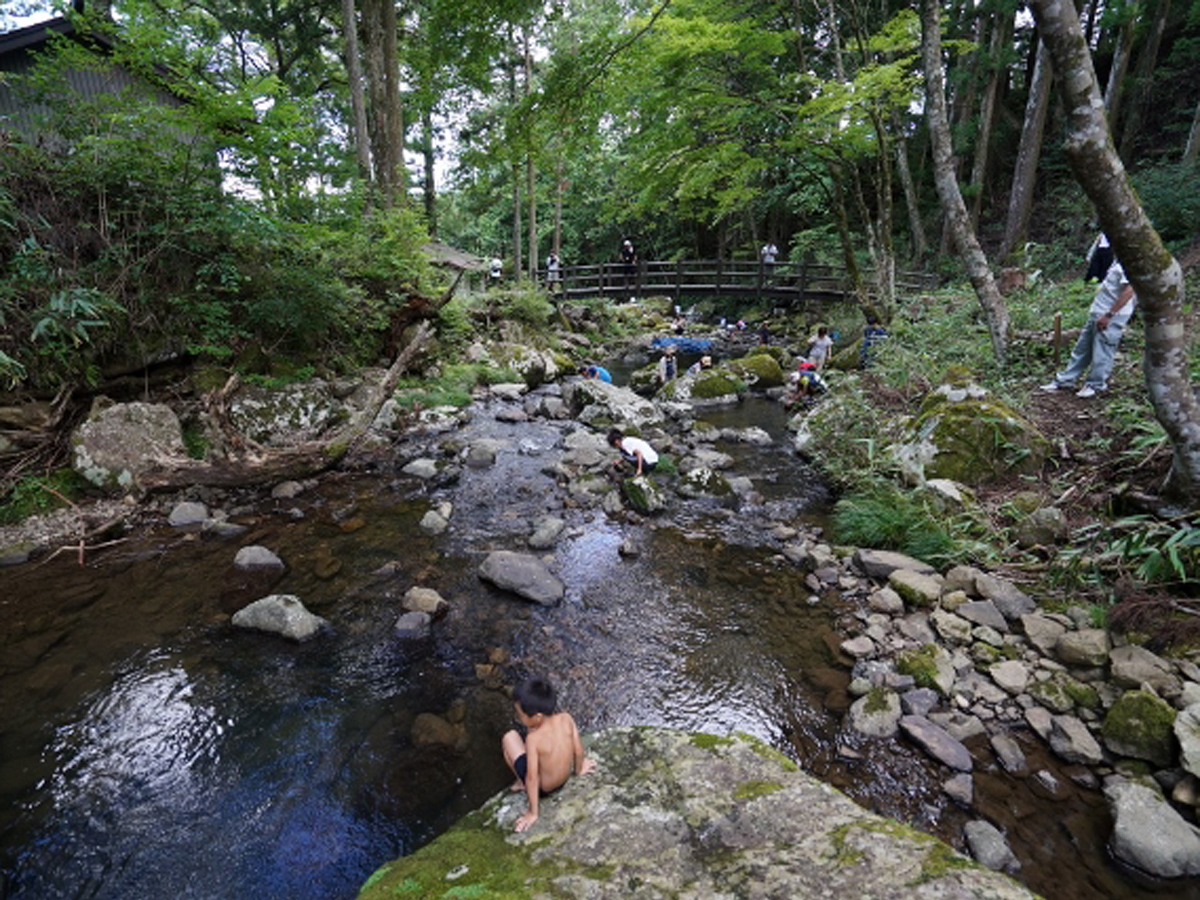 グリーンステージ花の木 山の大自然、夏休みは川遊びで大満喫!