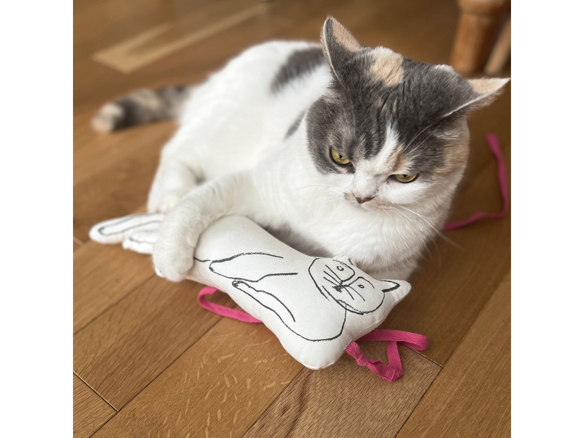 CAT CIRCUS