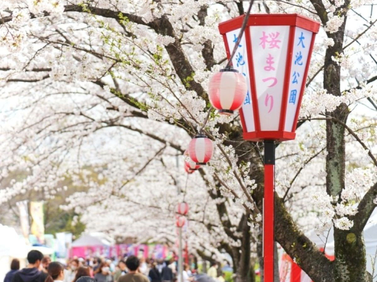大池公園桜まつり