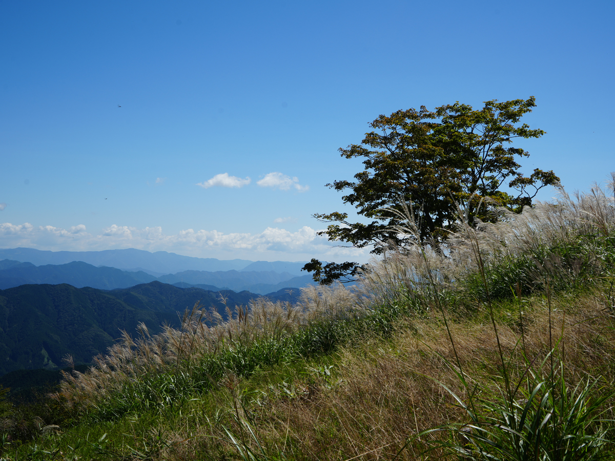 秋の茶臼山高原まつり