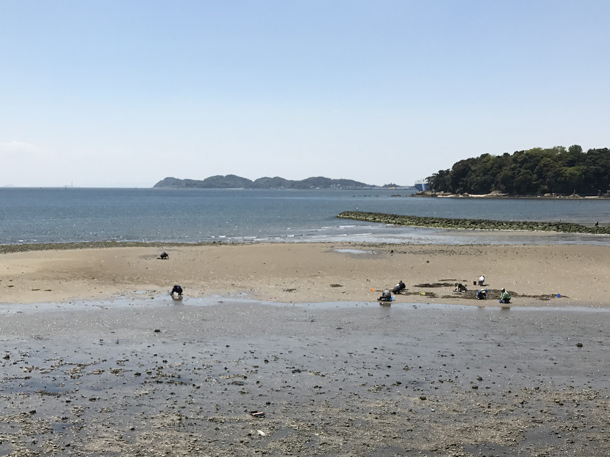 水神 潮干狩り