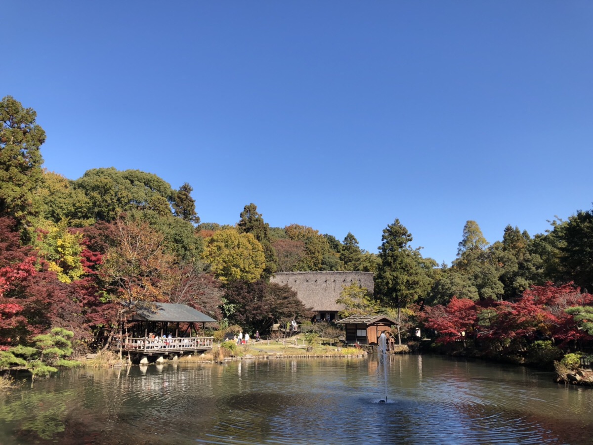 東山動植物園　もみじ狩り