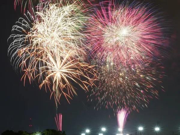 刈谷旺萨卡祭2024