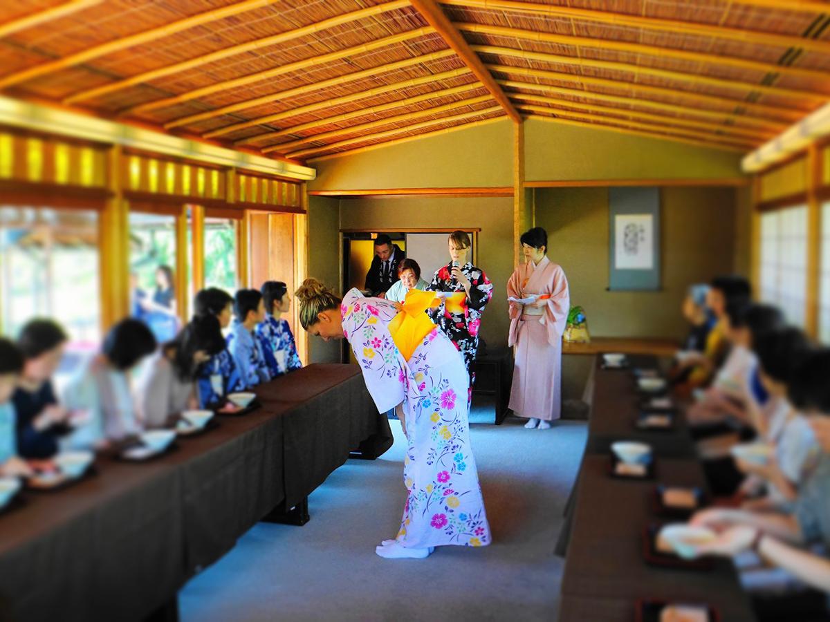 白鳥庭園 紫陽花茶会