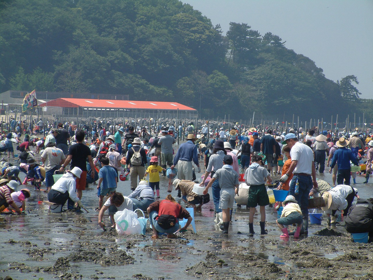 東はず海岸・前島 潮干狩り