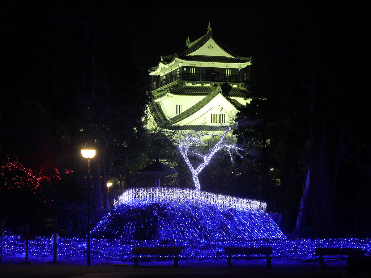 岡崎 家康公燈光秀 2020