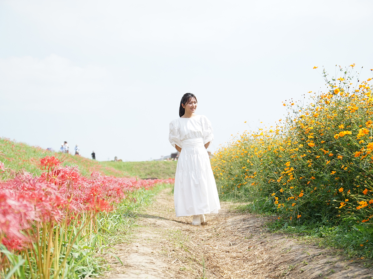 ごんの秋まつり_矢勝川（彼岸花）