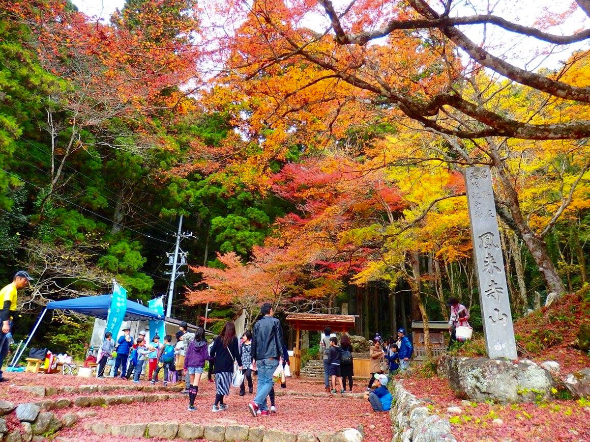 凤来寺山红叶节