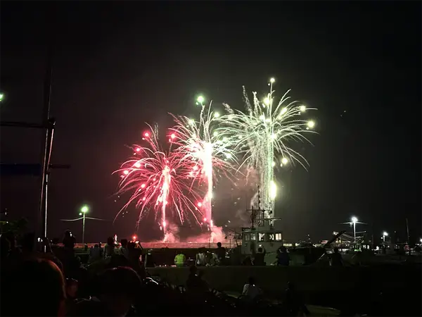 第31届 丰浜焰火大会