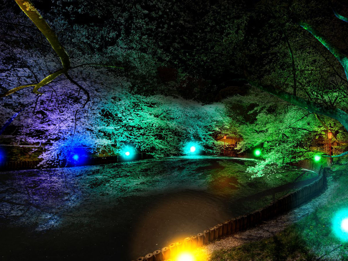 大池公園桜まつり