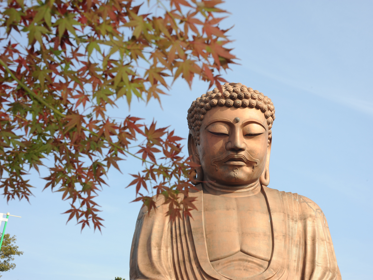 聚楽園公園 もみじまつり