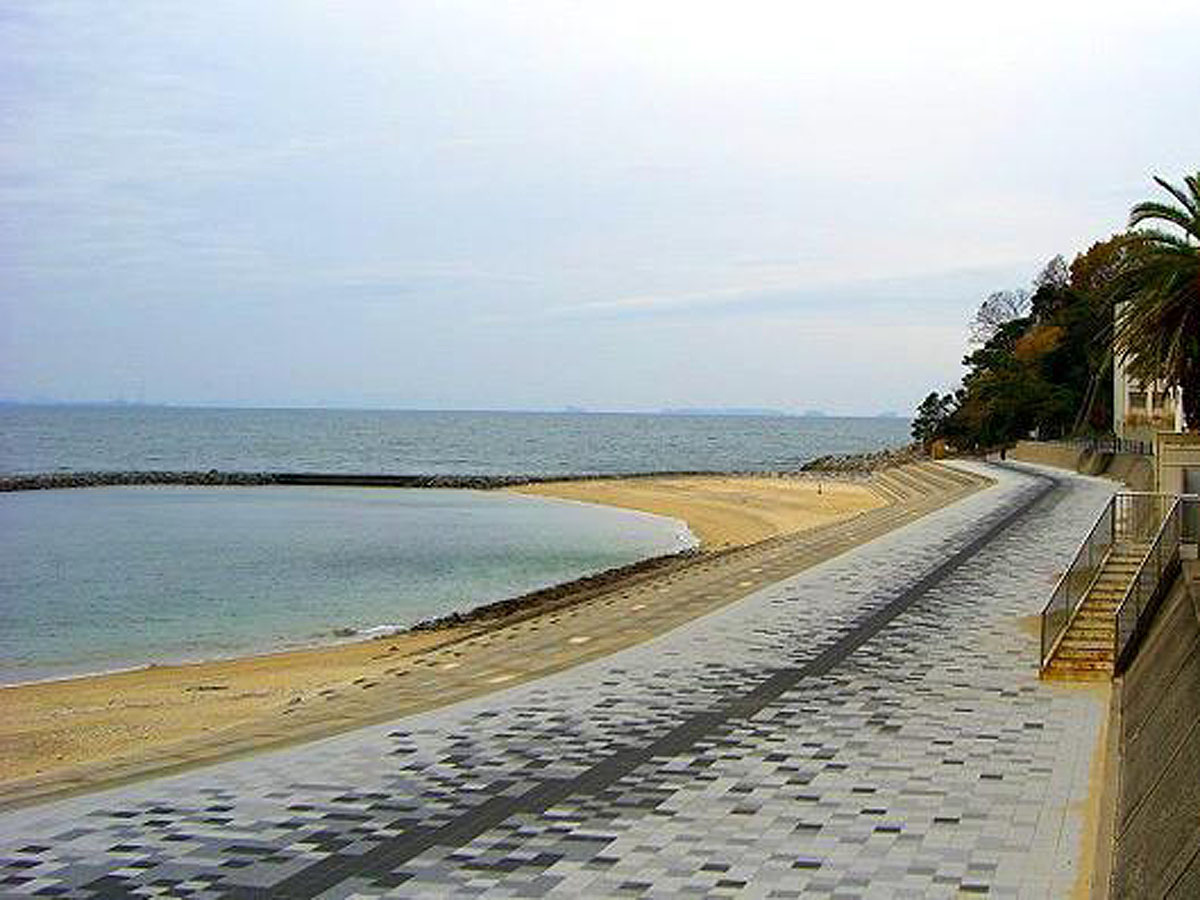 西浦海岸　潮干狩り