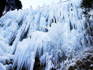 稲武地区の氷瀑