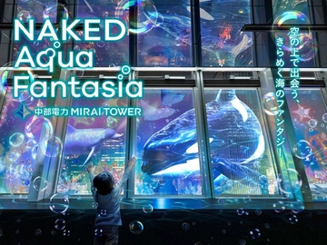 NAKED Aqua Fantasia