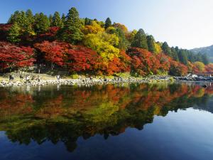 香嵐渓もみじまつり
