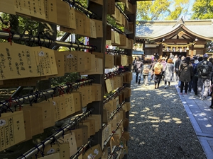 豊年祭(田縣神社)