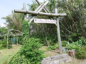 リバーサイド園 ヨリタ