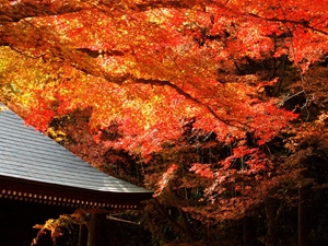 普門寺もみじ祭り