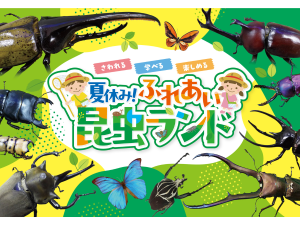 夏休み！ふれあい昆虫ランド