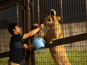 Non Hoi Park Night Zoo
