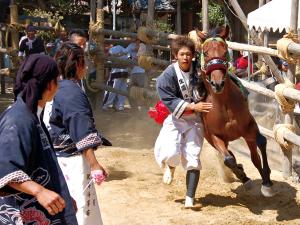 おまんと祭り